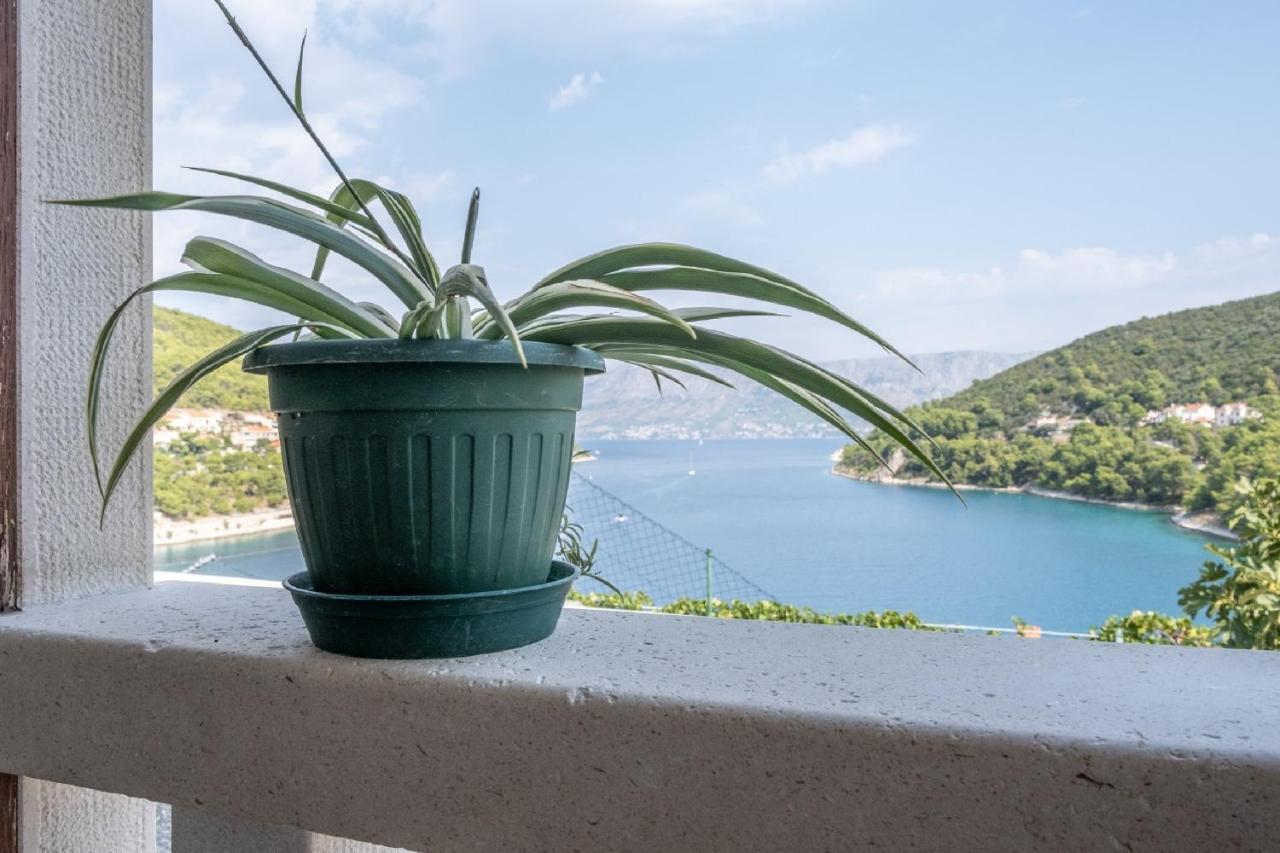 Apartments Darija Pucisca Ngoại thất bức ảnh